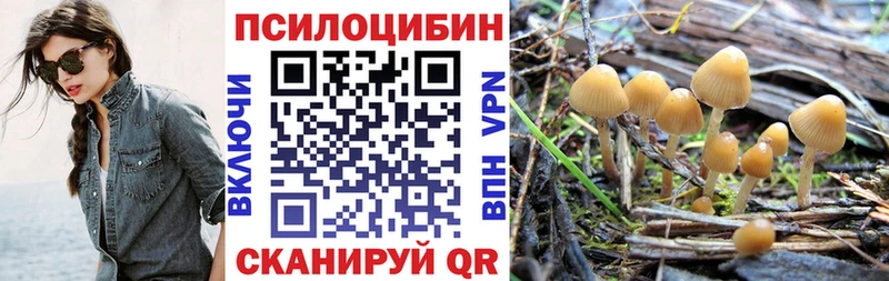 кракен зеркало  купить   Михайловка  Псилоцибиновые грибы прущие грибы 