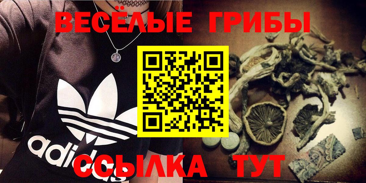 Галлюциногенные грибы ЛСД  Вход с VPN  Михайловка 