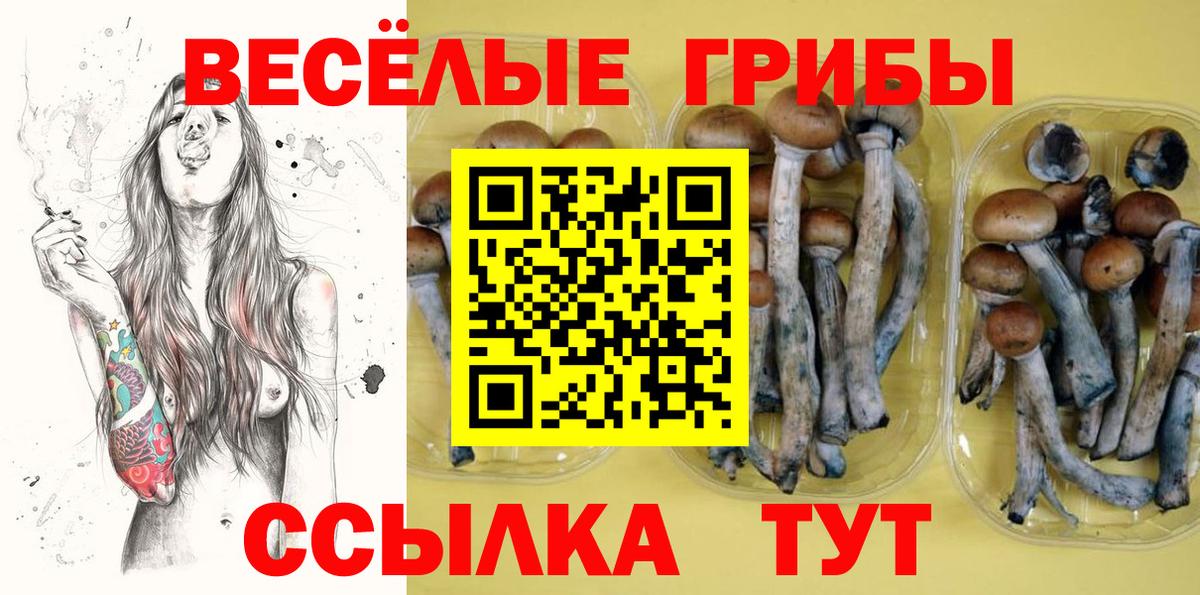 Галлюциногенные грибы прущие грибы Михайловка